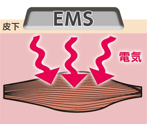 医療EMS治療とは?